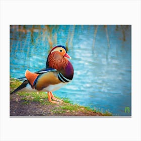 Mandarin Duck 20230108970rt1pub Canvas Print