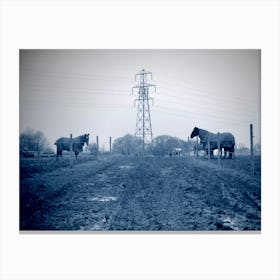 Horses In A Field Canvas Print