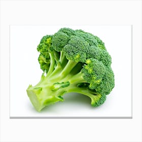 Close Up Of Broccoli 1 Canvas Print