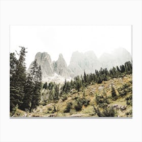 Rocky Mountain Forest Canvas Print