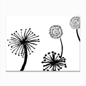 Dandelions Black and White Canvas Print