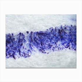 Dripping Blue Ink On Paper Under The Microscope Canvas Print