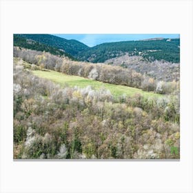 Aerial View Of A Forest 20230416110778pub Canvas Print