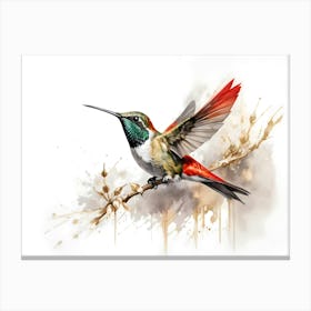 Kolibri Hummingbird - Water Color Painting 15 Canvas Print