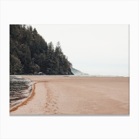 Forest Along Ocean Canvas Print