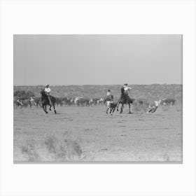 Cutting Out Calves For Branding From The Herd, Cattle Ranch Near Spur, Texas By Russell Lee Canvas Print