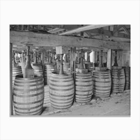 Barrels Of Perique Tobacco During Process Of Aging, Perique Tobacco Is Raised In One Parish In Louisiana, And Canvas Print