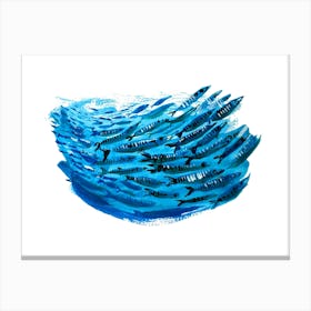 School of Mackerel Fish Canvas Print