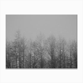 Melancholy Winter Forest Canvas Print