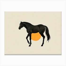 Horse In The Sun 2 Canvas Print