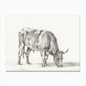 Grazing Bull, Jean Bernard Canvas Print