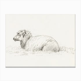Lying Sheep (1816), Jean Bernard Canvas Print