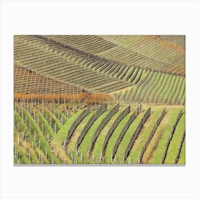 Terraced Vineyards of Langhe. Rows of neatly planted grapevines line the terraced hillsides of Langhe, Italy, showcasing the region's dedication to winemaking. The structured pattern of the vineyard rows, supported by wooden stakes, emphasizes the natural contours of the landscape, creating a harmonious blend of agriculture and nature. 1 Canvas Print