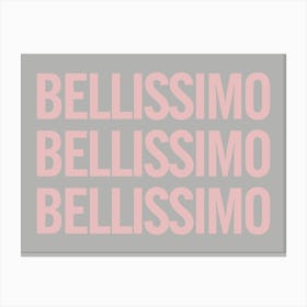 Bellissimo - Grey And Pink Canvas Print