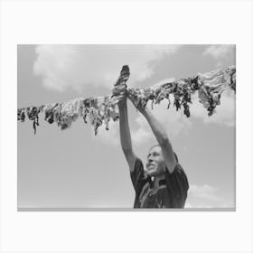 Spanish American Woman Hanging Up Meat To Dry, Chamisal, New Mexico By Russell Lee Canvas Print