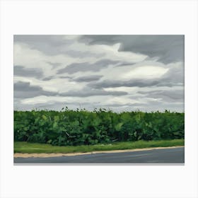 Road To Nowhere Canvas Print