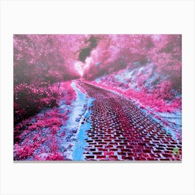 Pink Road 20230603202pub Canvas Print