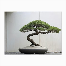 Bonsai Tree Iwagumi Style Sitting Serenely In A Minimalist Courtyard Setting Soft Shadows Caressi Canvas Print