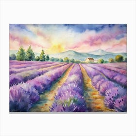 Lavender Field Canvas Print