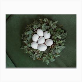 Eggs In A Nest 1 Canvas Print