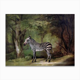Zebra, George Stubbs Canvas Print