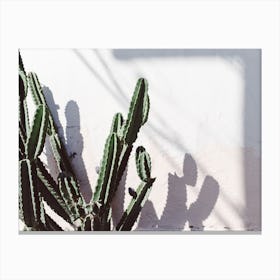 Californian Cactus Canvas Print