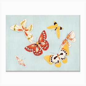 Japanese Butterfly, Kamisaka Sekka 1 Canvas Print