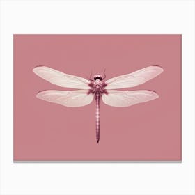 Dragonfly Roseate Skimmer Orthemis 3 Canvas Print