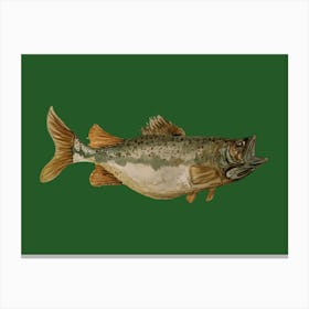 Green Fish Illustration 2 Canvas Print