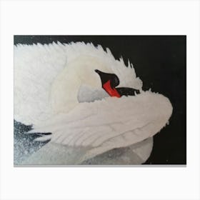 White Swan Canvas Print