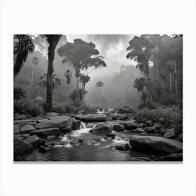 Rain Forest Canvas Print