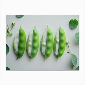 Pea Pods Canvas Print