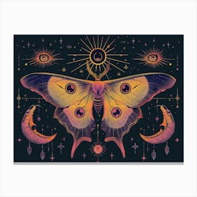 Moth illustration 15 Canvas Print