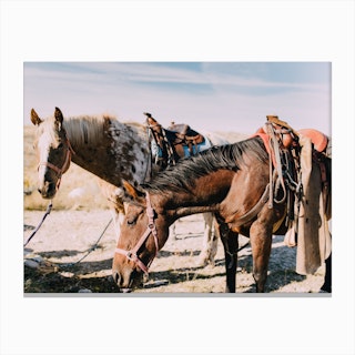 Horses And Desert Canvas Print
