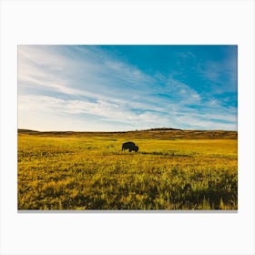 King Of The Hill Canvas Print