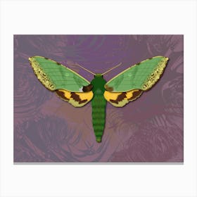 Mechanical Green Butterfly The Euchloron On A Lilac Background Canvas Print