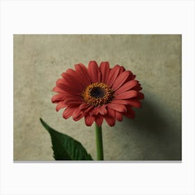 Red Gerbera Flower Canvas Print