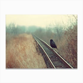 Crow On Railroad Tracks Canvas Print