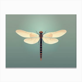 Dragonfly Common Whitetail Plathemis Blue Illustration Vintage  Canvas Print