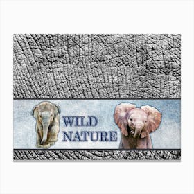 WILD NATURE - ELEPHANT design collection Canvas Print