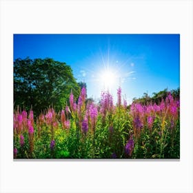 A Bright Sunrise Casting A Luminescent Glow On A Lush Countryside Garden During Summer Awash With P (2) Canvas Print