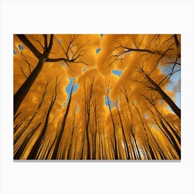 Autumn Forest 104 Canvas Print