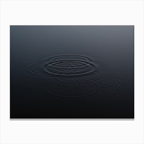 Water Droplet on a still lake Canvas Print