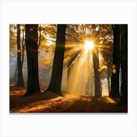 Forest With Sunbeams 06 Canvas Print