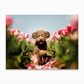 Poodle Running Through the Tulips - Belgium dog photo print - moody animal photography art Canvas Print