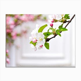 Blossoming Apple Tree 4 Canvas Print