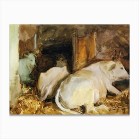 Three Oxen (ca. 1910), John Singer Sargent Canvas Print