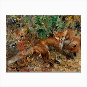 Vintage Red Foxes Canvas Print