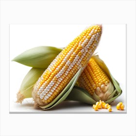 Funny Corn Landscape Canvas Print