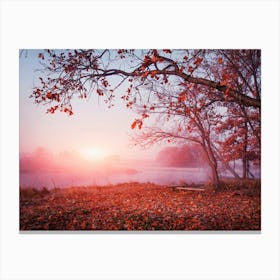 Autumn Sunrise Canvas Print